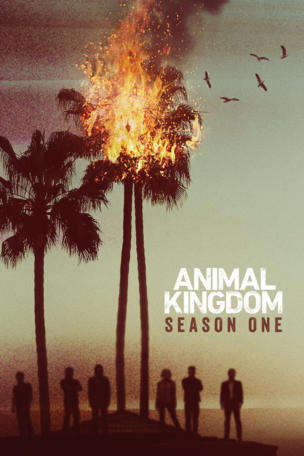 Animal Kingdom_0001